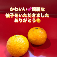画像303
