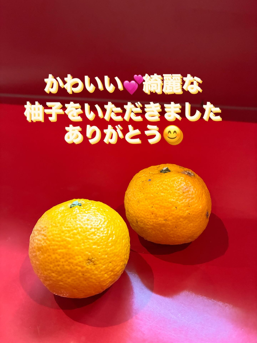 画像303