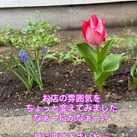 画像338