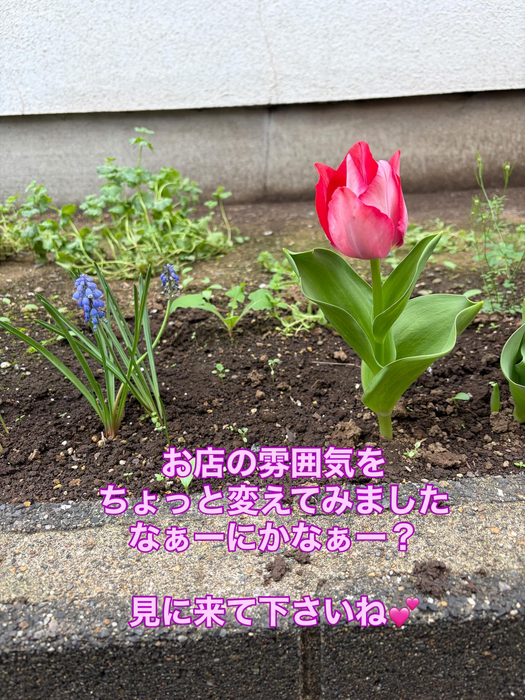 画像338