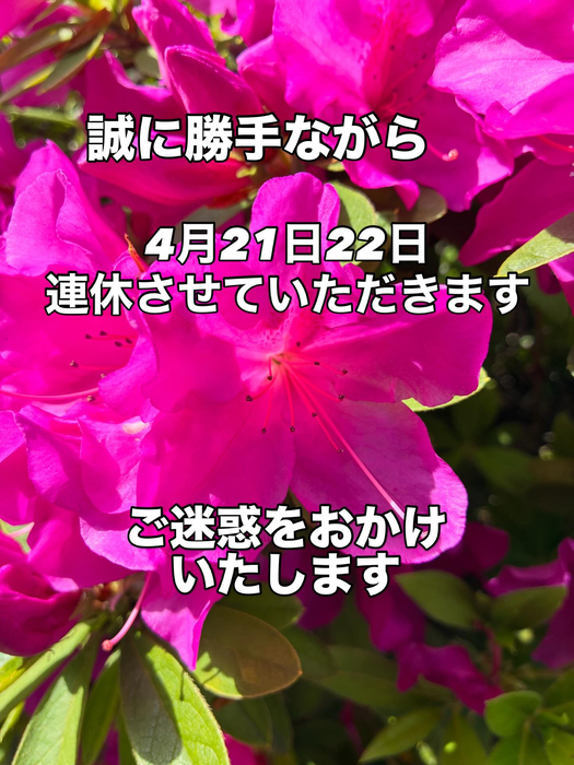 画像340