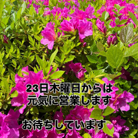 画像341