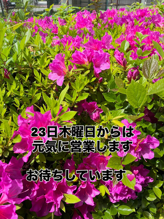 画像341