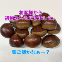 画像365