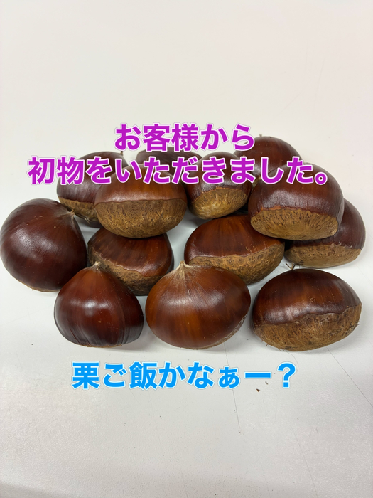画像365