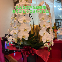 画像372