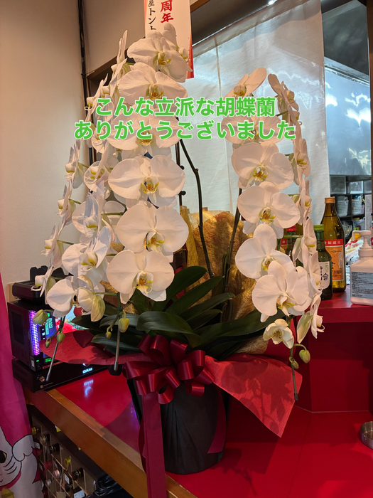 画像372