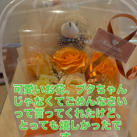 画像374