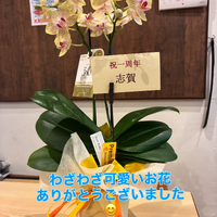 画像377