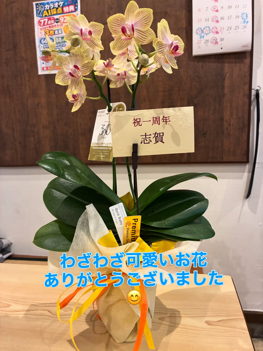 画像377